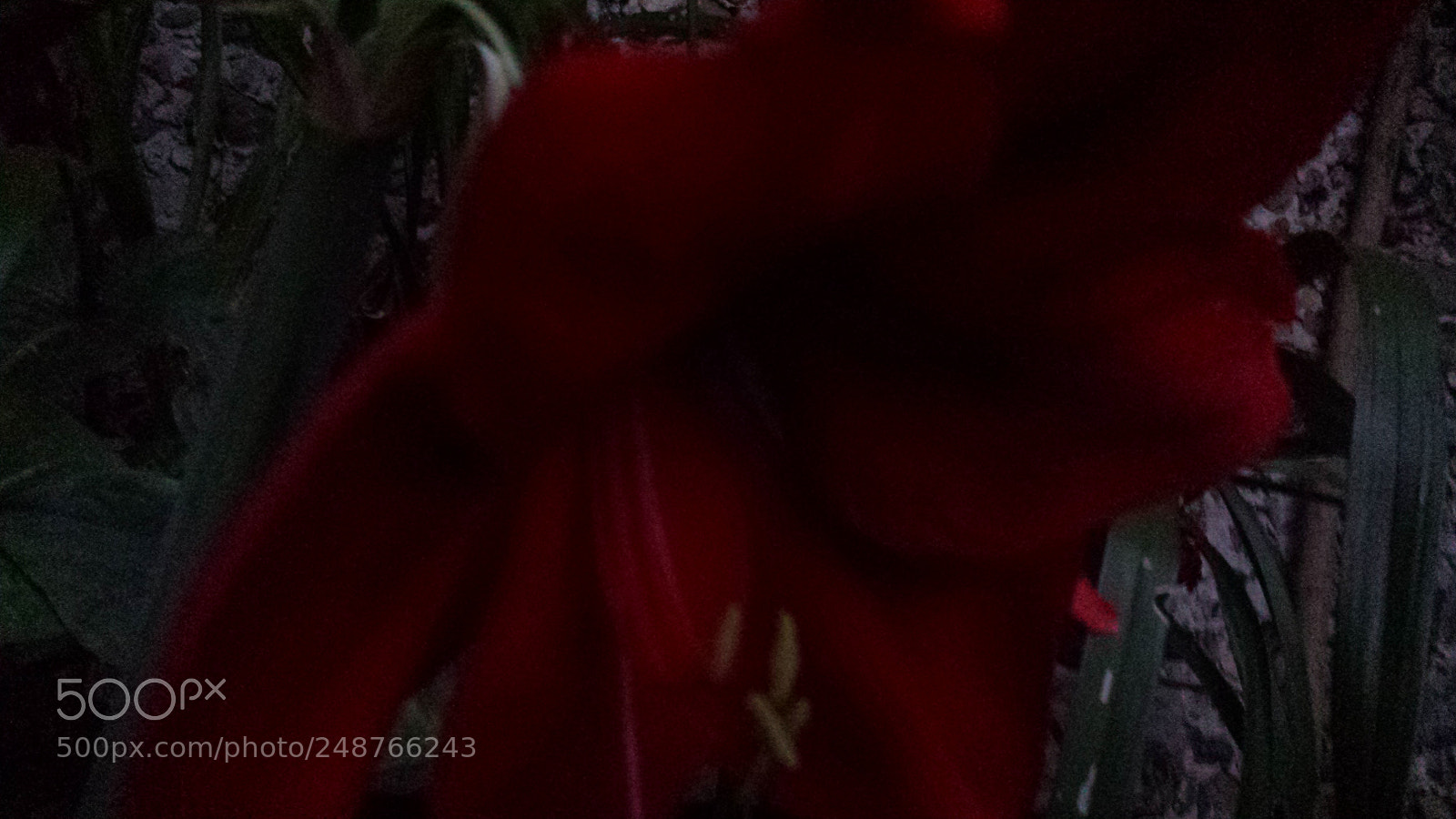 Samsung Galaxy S4 sample photo. Untitled photography