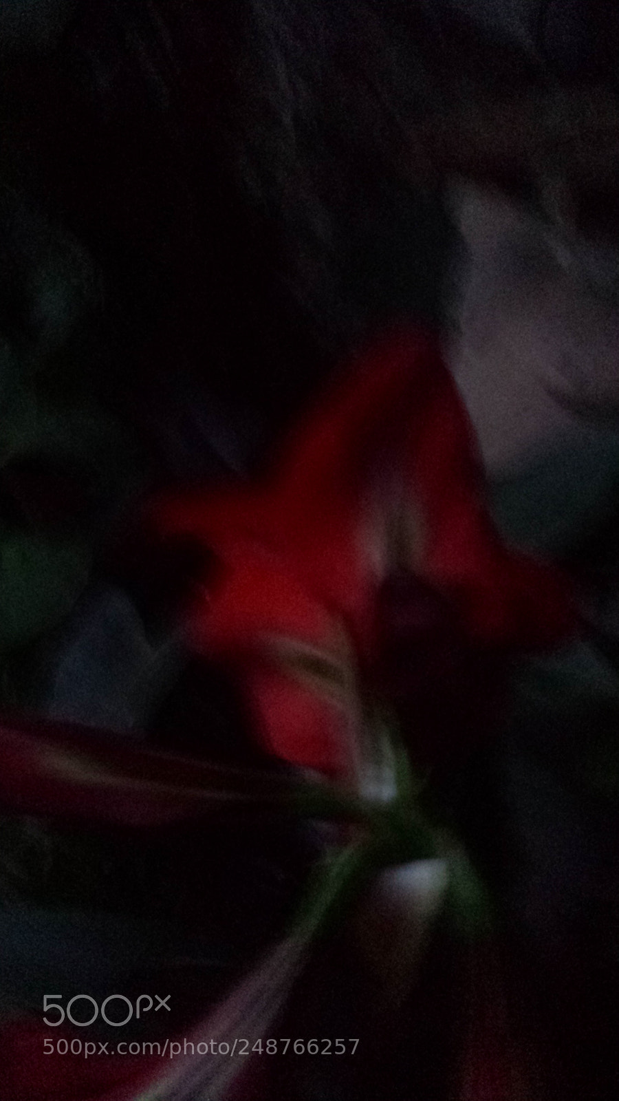 Samsung Galaxy S4 sample photo. Untitled photography