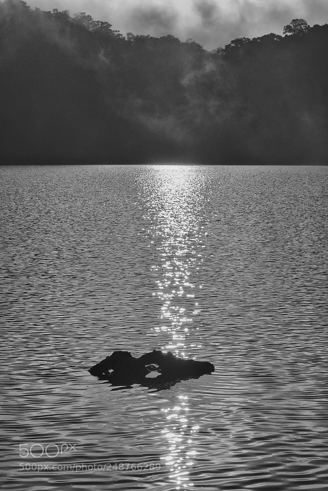 Panasonic Lumix DMC-G7 sample photo. ¿y qué pasó con.....? photography