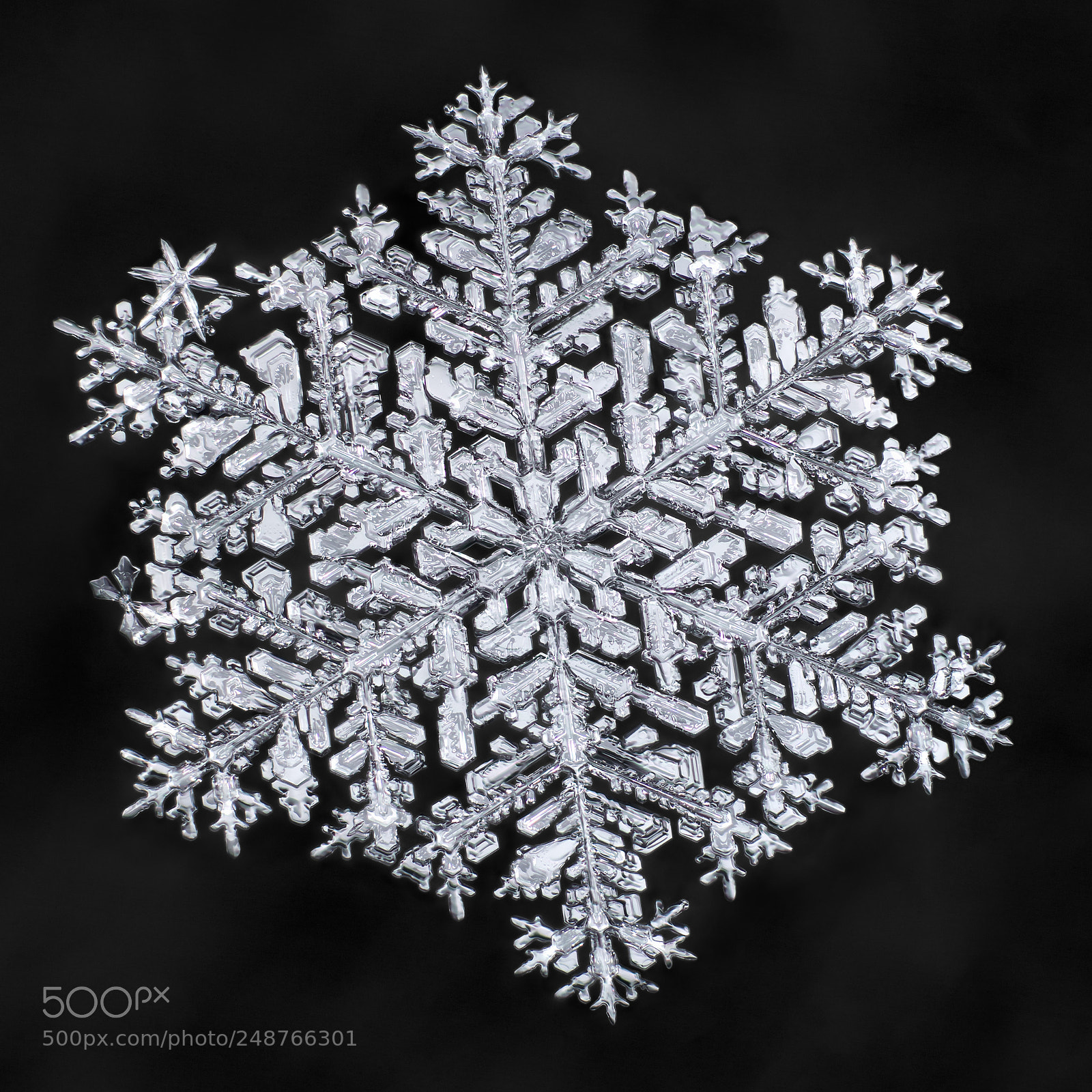 Canon EOS-1D X Mark II sample photo. Snowflake-a-day no. 62 photography