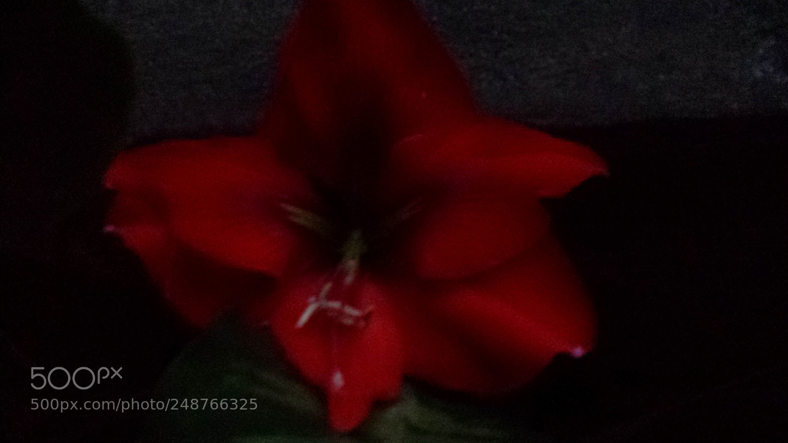 Samsung Galaxy S4 sample photo. Untitled photography