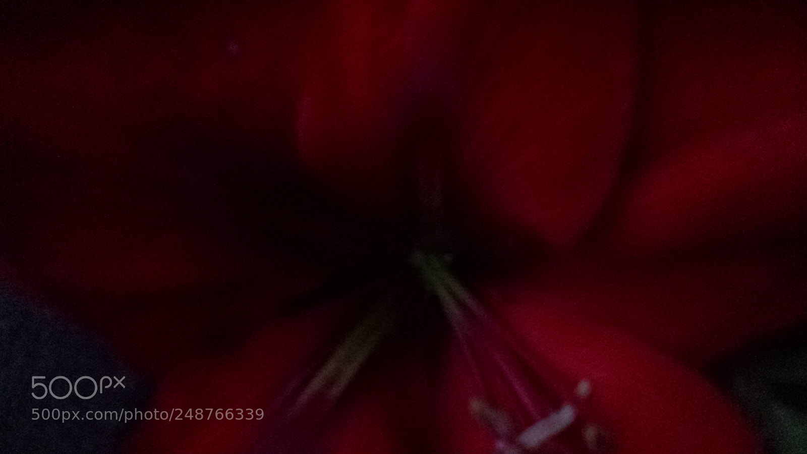 Samsung Galaxy S4 sample photo. Untitled photography