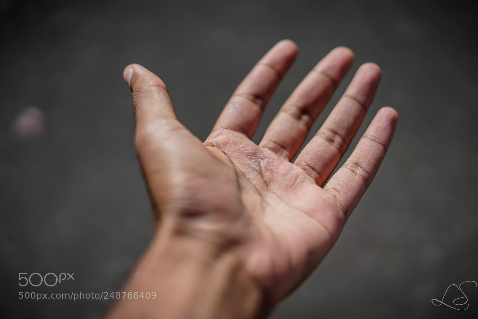 Sony a7 II sample photo. Helping hand photography