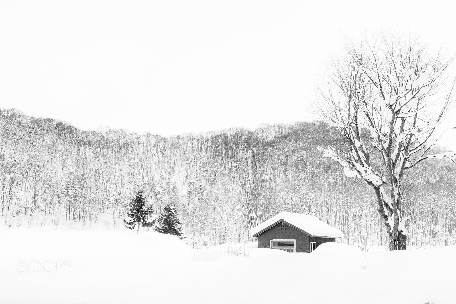 Fujifilm X-T20 sample photo. Hokkaido snow photography