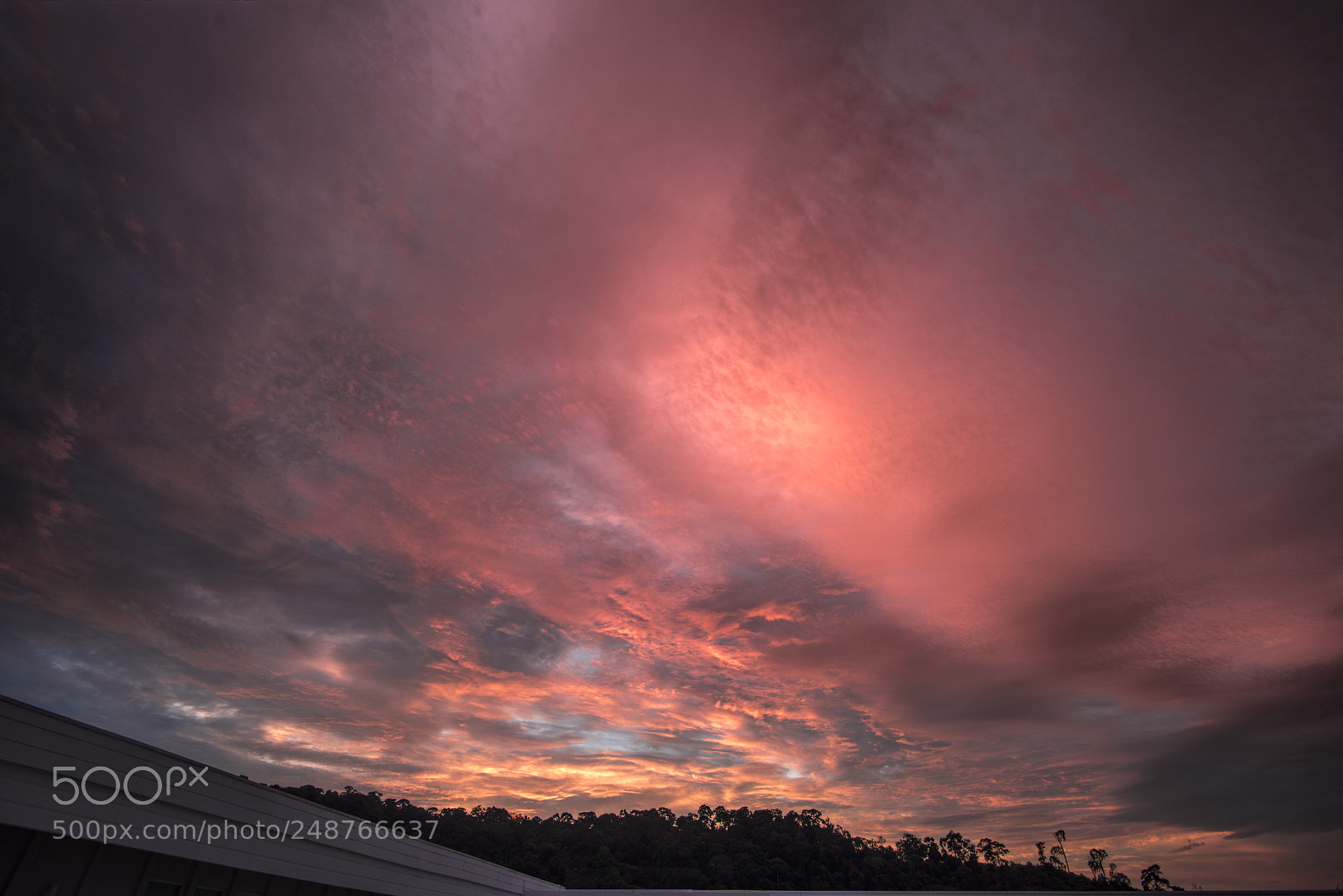 Nikon D810 sample photo. Dawn after the storm photography