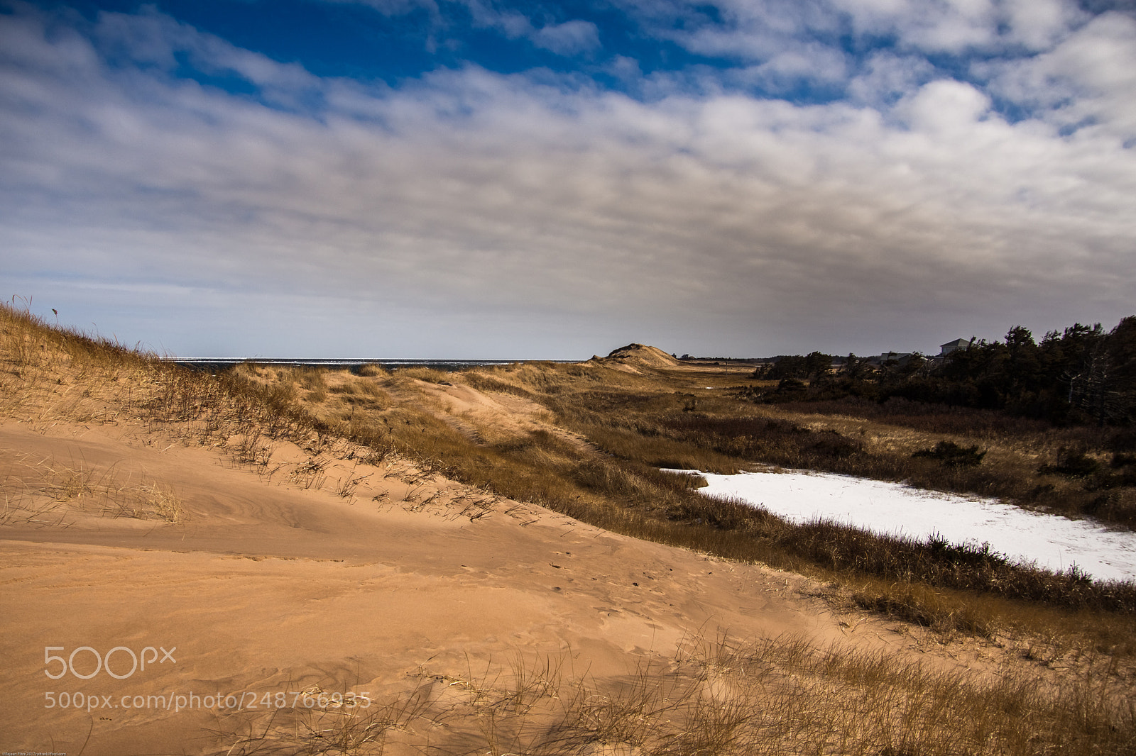 Nikon D7200 sample photo. Sand dunes beach photography