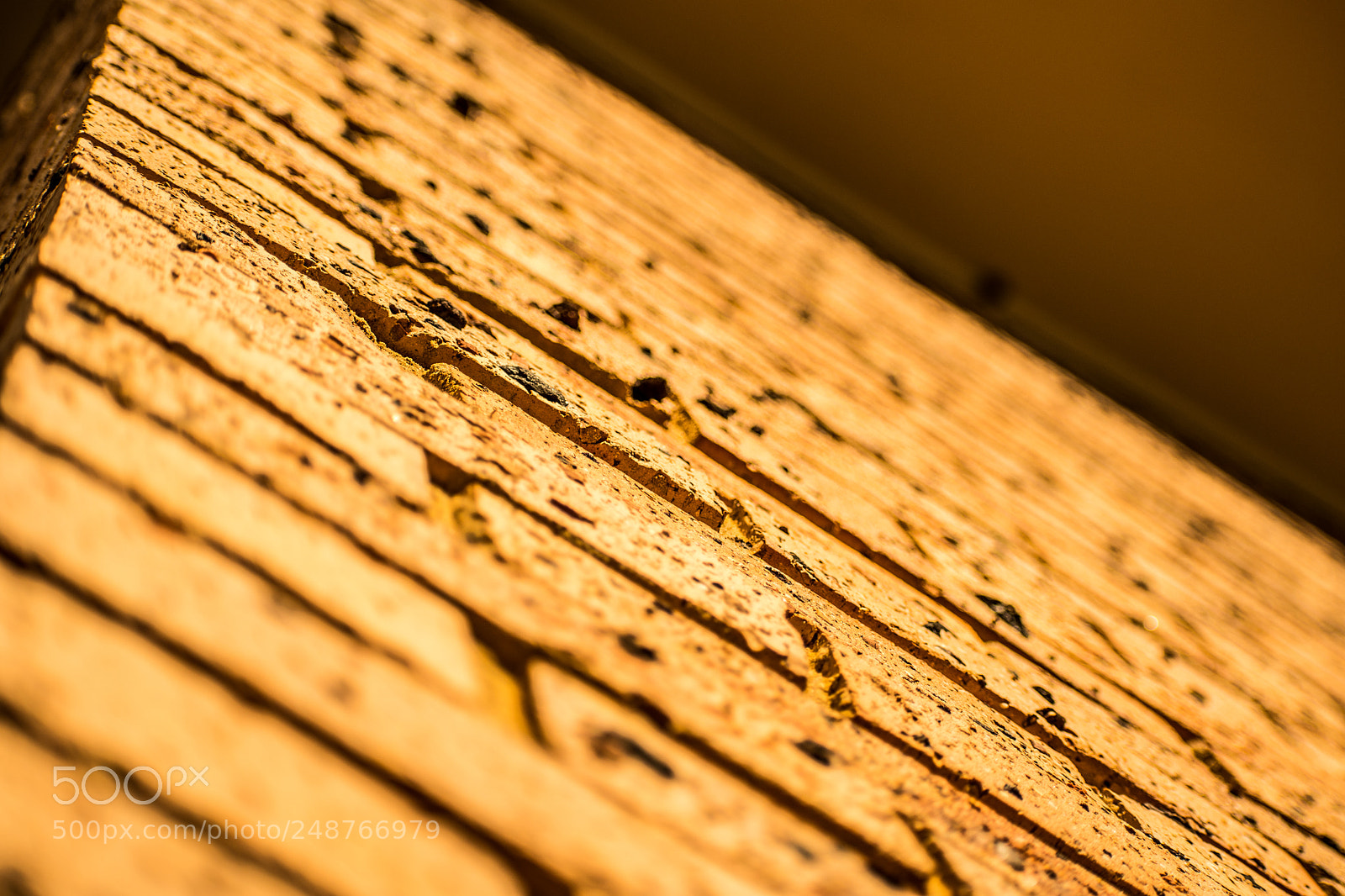 Nikon D7500 sample photo. The wall photography