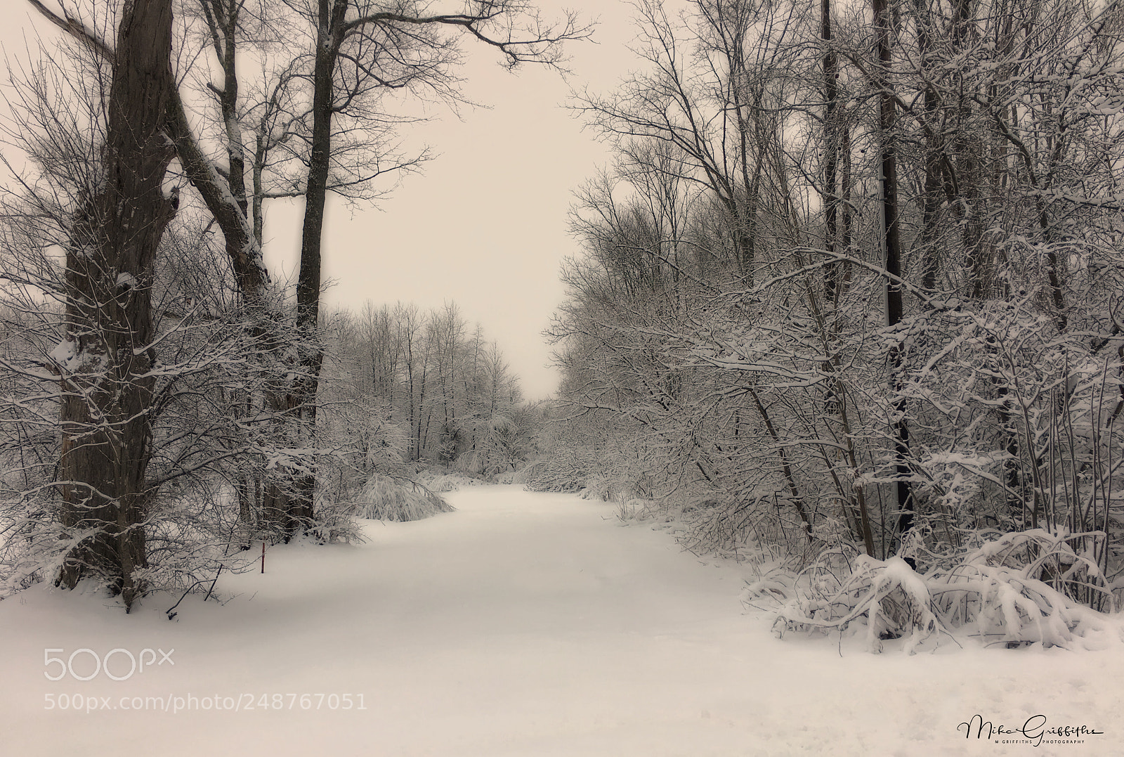 Apple iPhone 6s Plus sample photo. Early morning snowfall photography