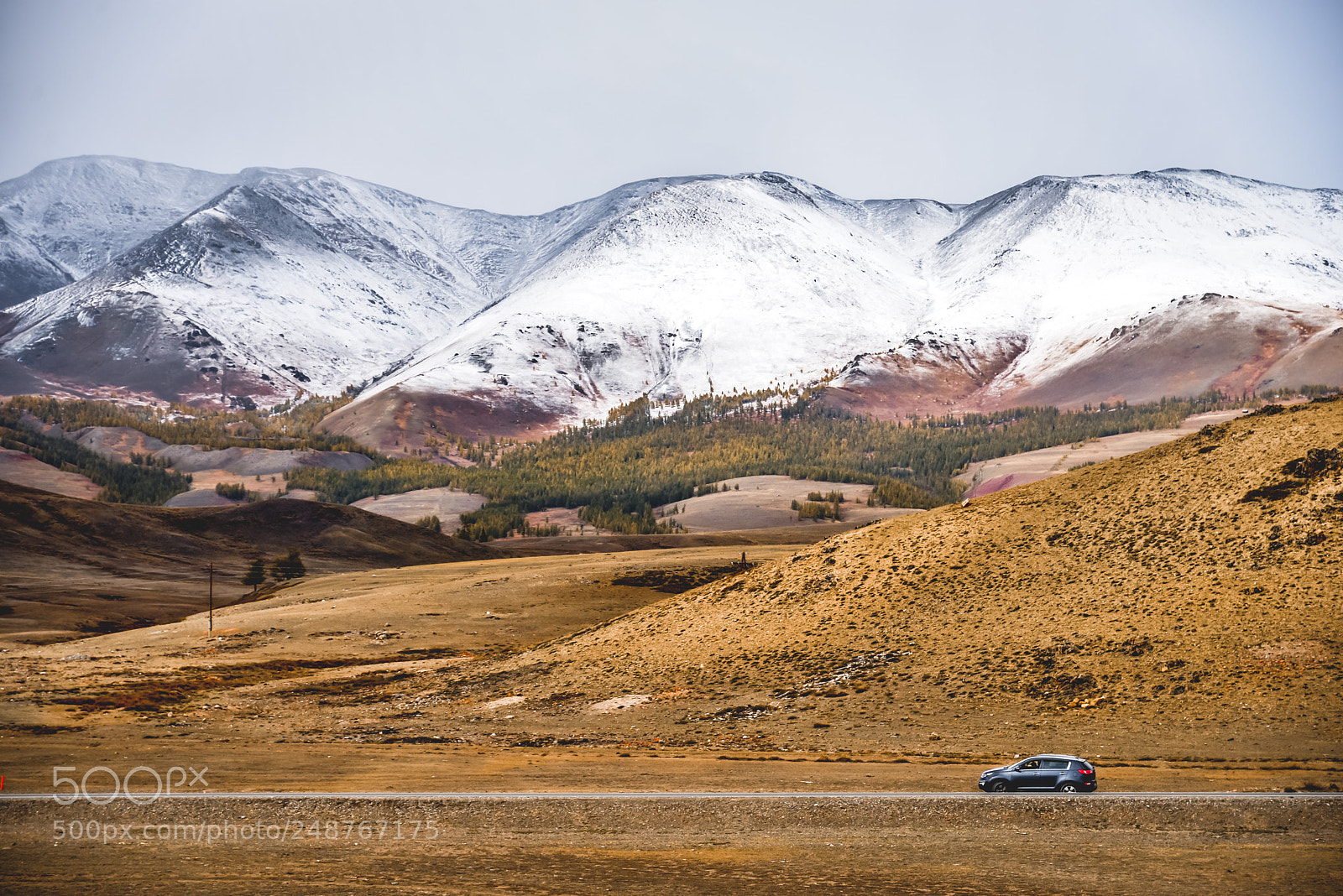 Nikon D610 sample photo. Road in mountains  photography