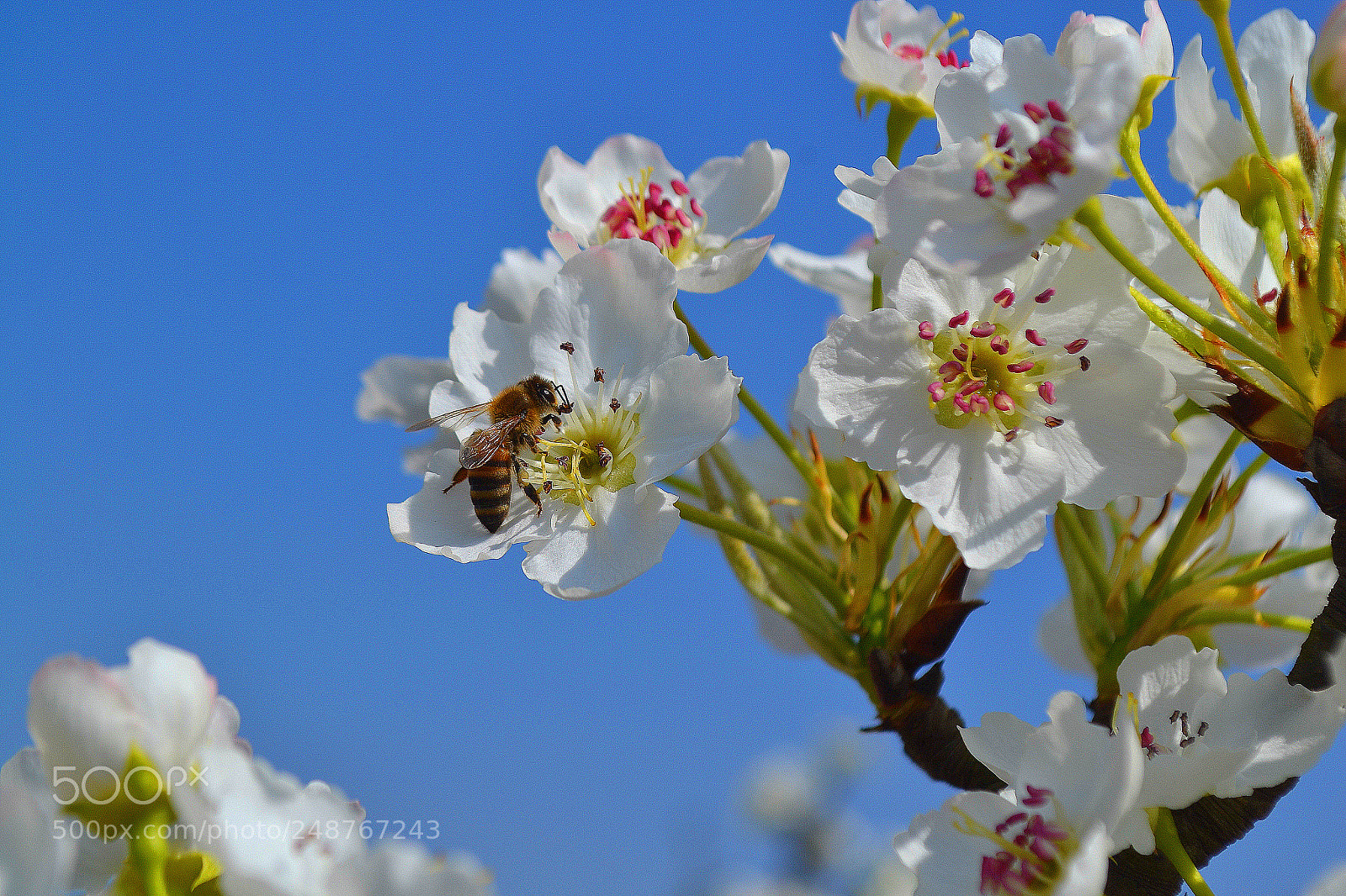 Nikon D3100 sample photo. Untitled photography