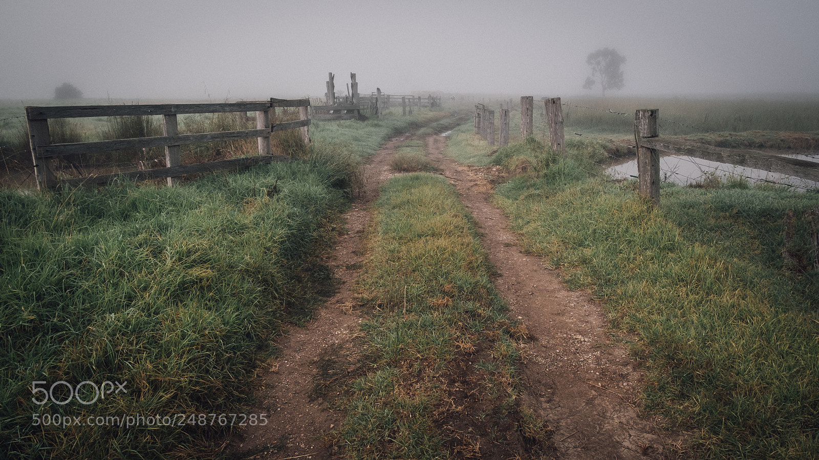 Fujifilm X-T10 sample photo. Morning fog photography