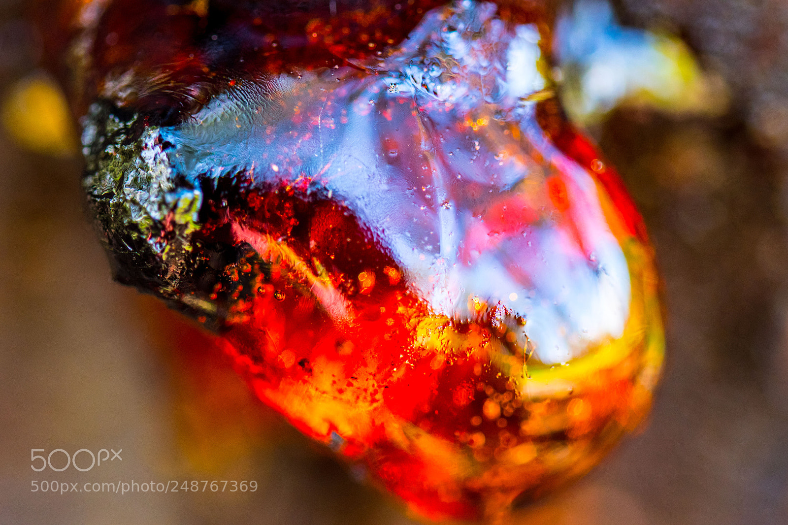 Nikon D7500 sample photo. Organic lava photography