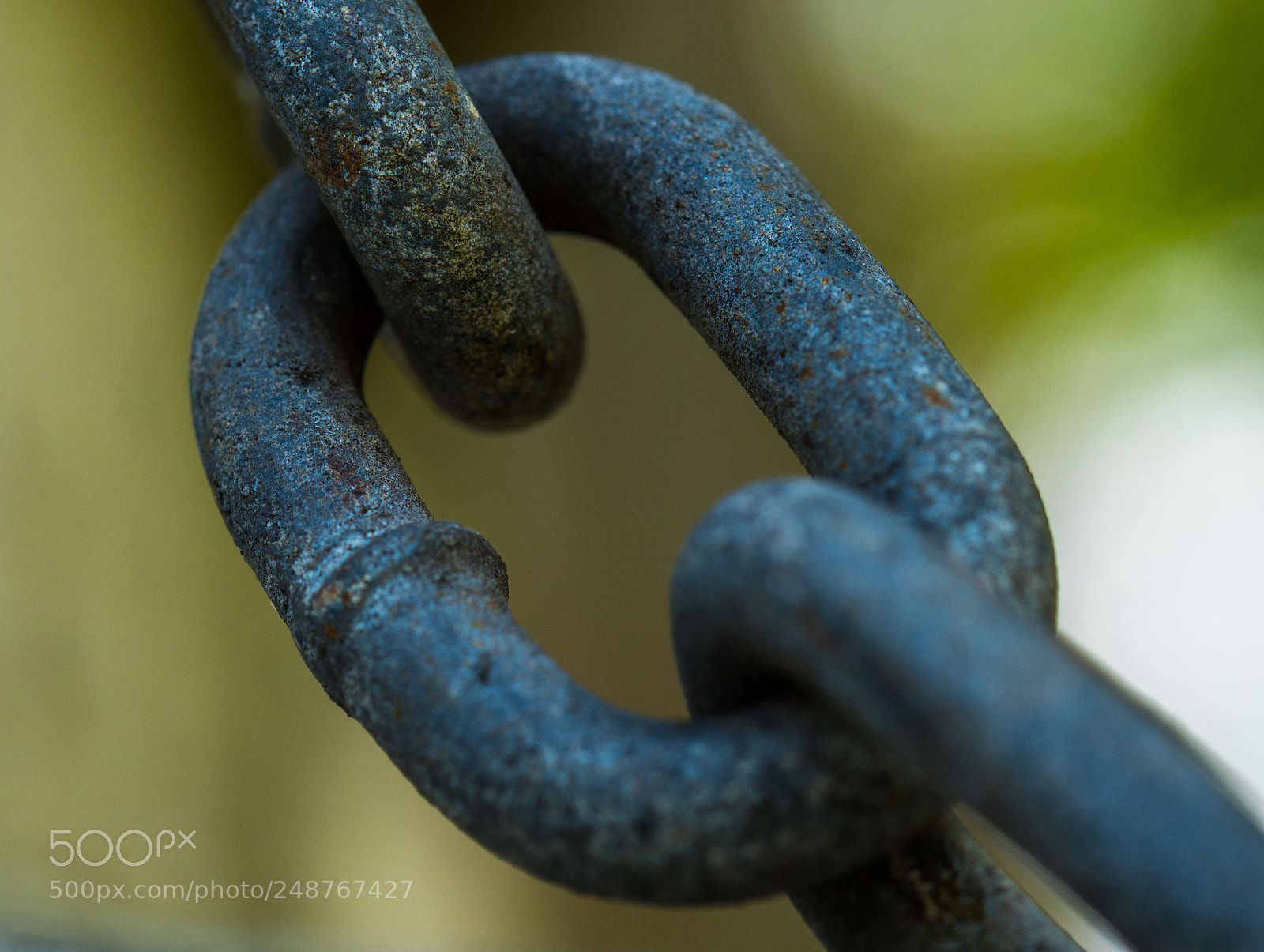 Nikon D7500 sample photo. Chain photography