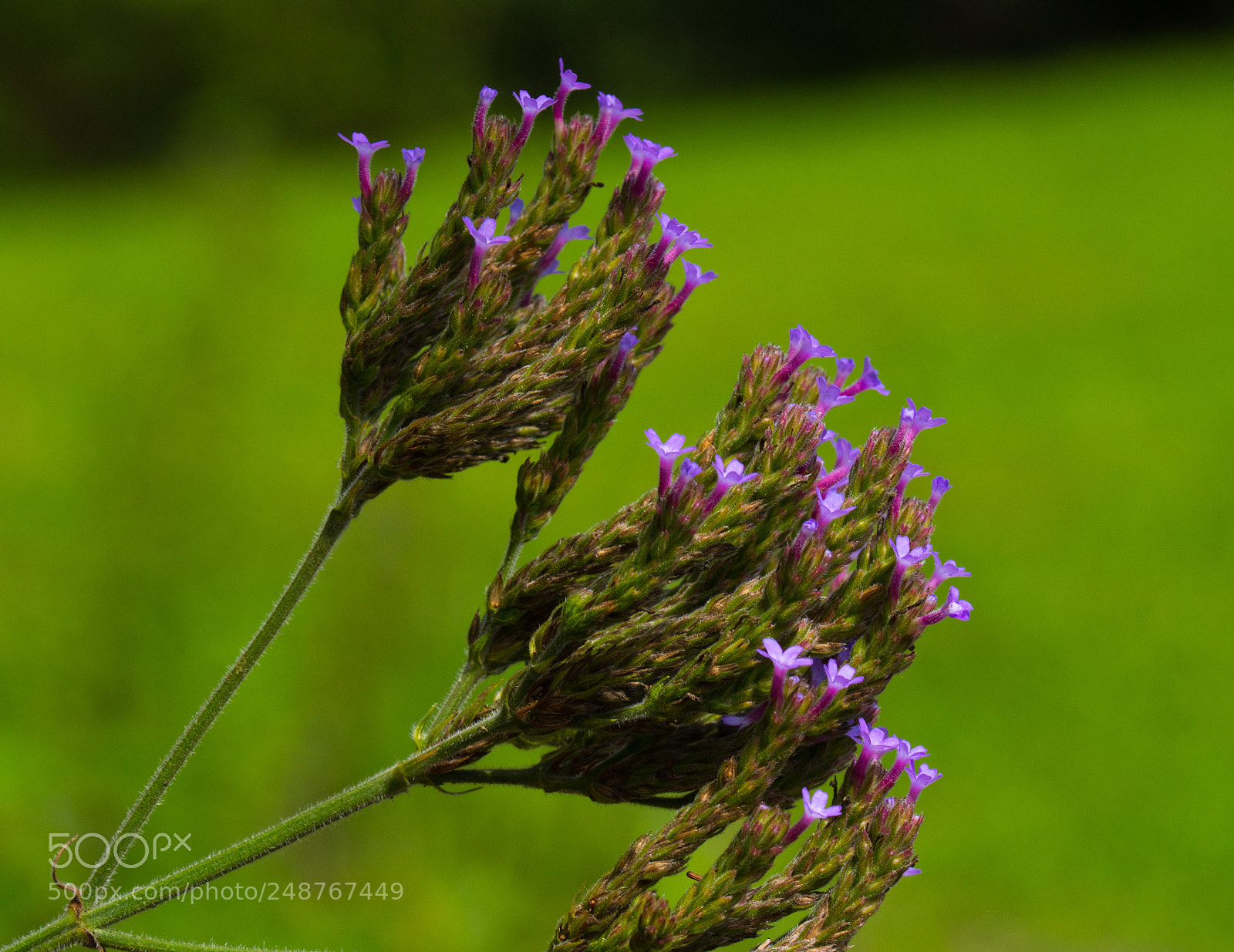 Nikon D7500 sample photo. Windy photography