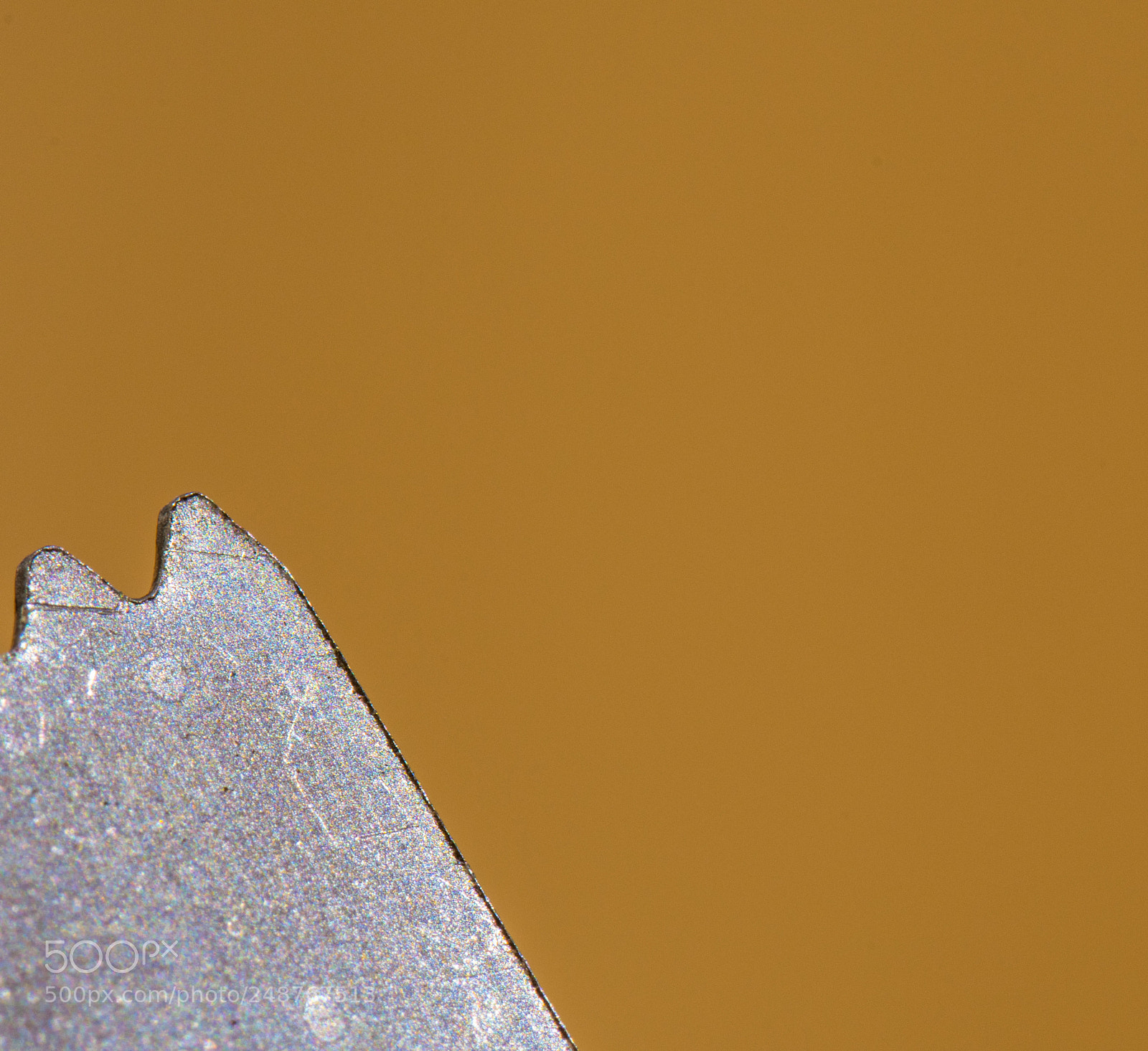 Nikon D7500 sample photo. Grater blade photography