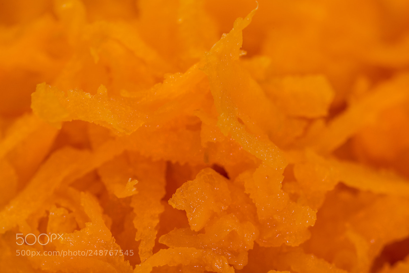 Nikon D7500 sample photo. Carrot topping photography