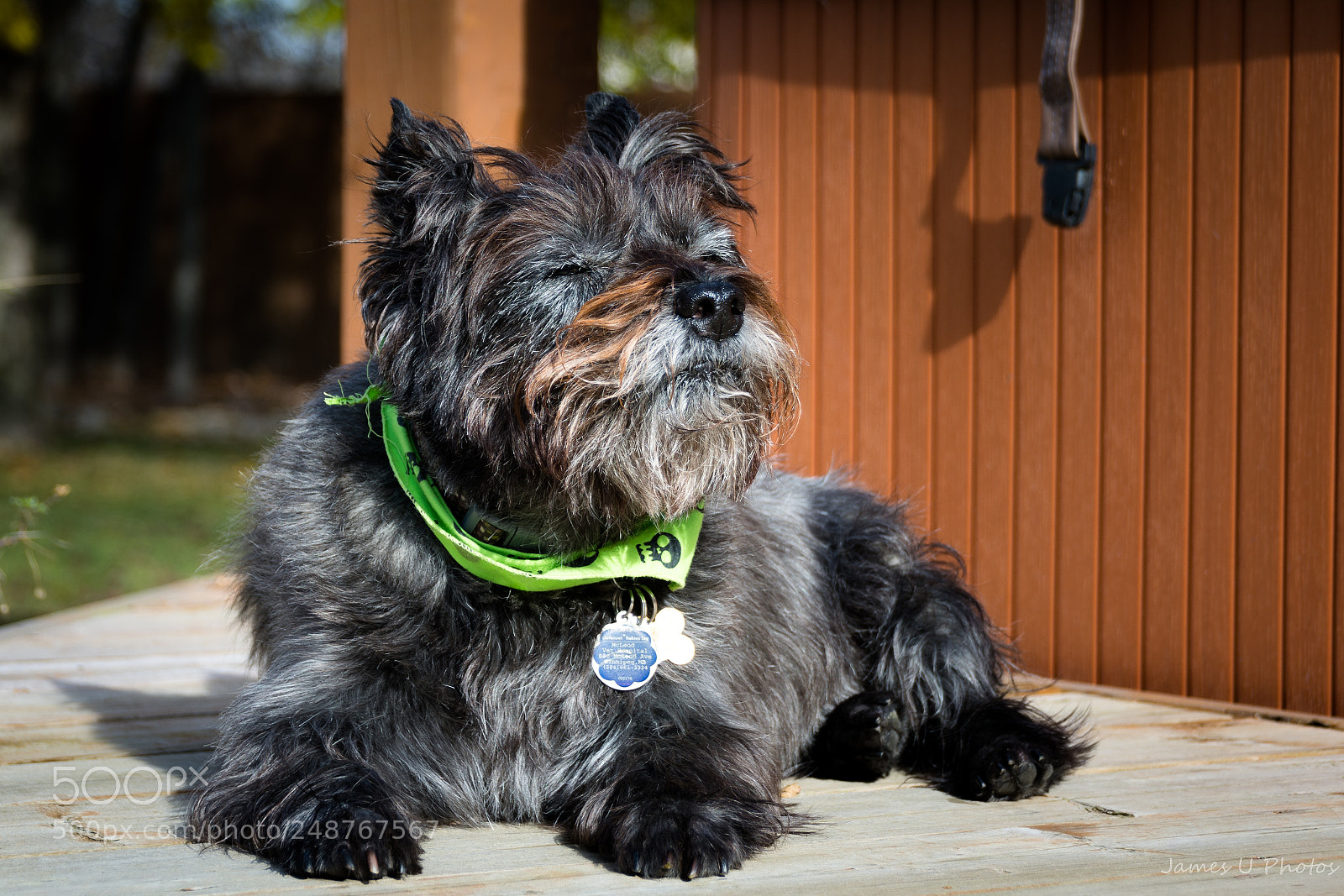 Nikon D7100 sample photo. Sunshine is so lovely photography