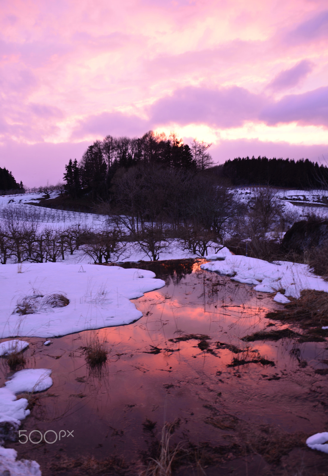 Nikon D800 sample photo. Red river photography