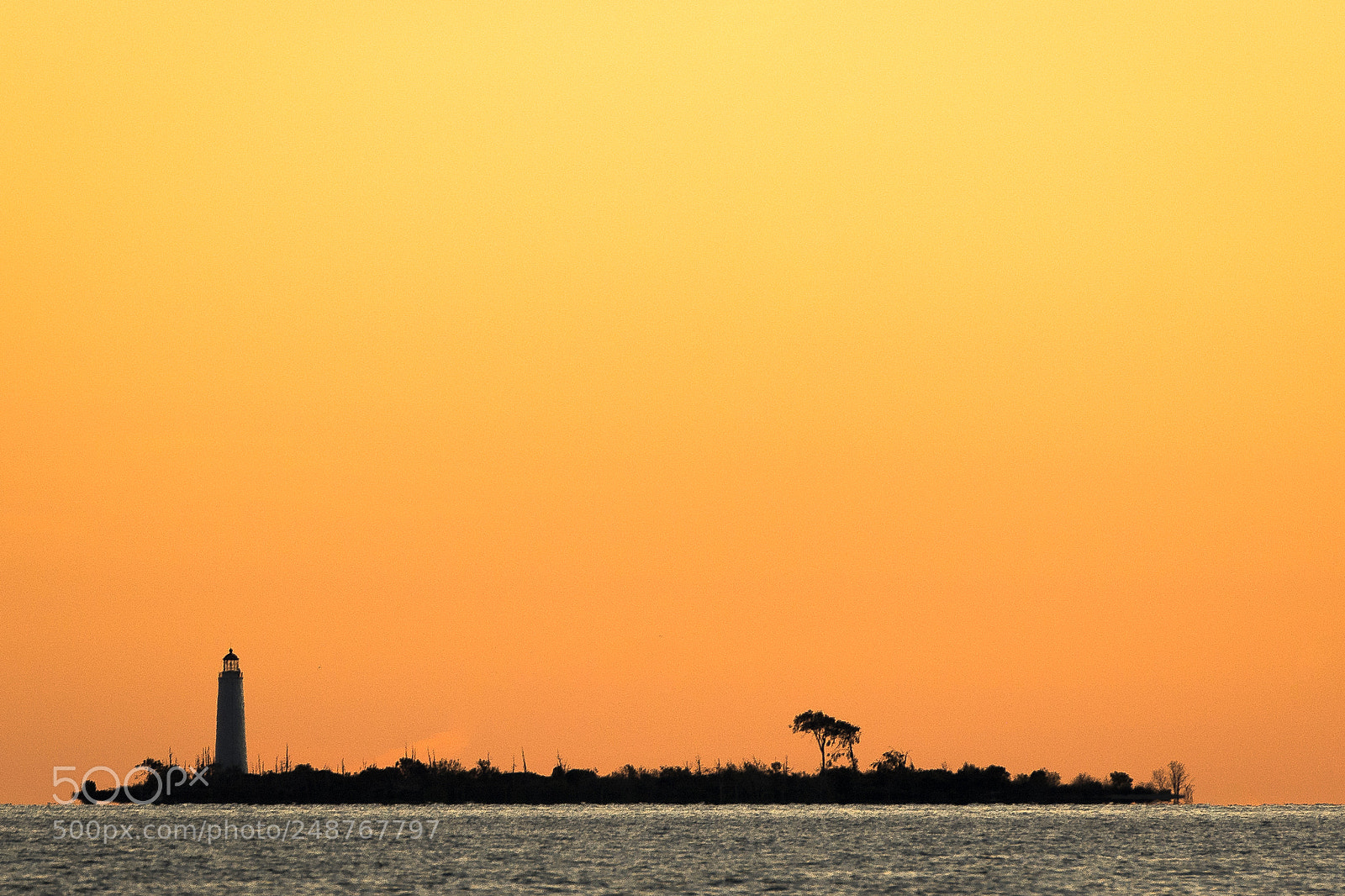 Nikon D7100 sample photo. Winter can't last forever photography