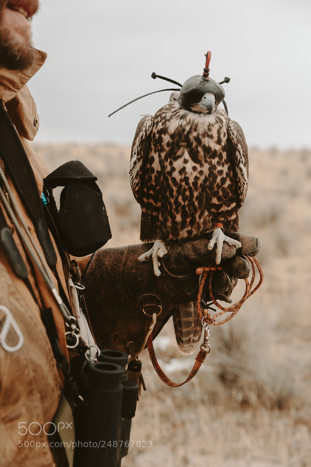 Canon EOS-1D X sample photo. Colton jacobs photography