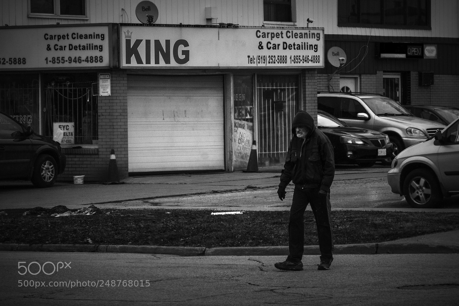 Nikon D500 sample photo. King. windsor, on. photography