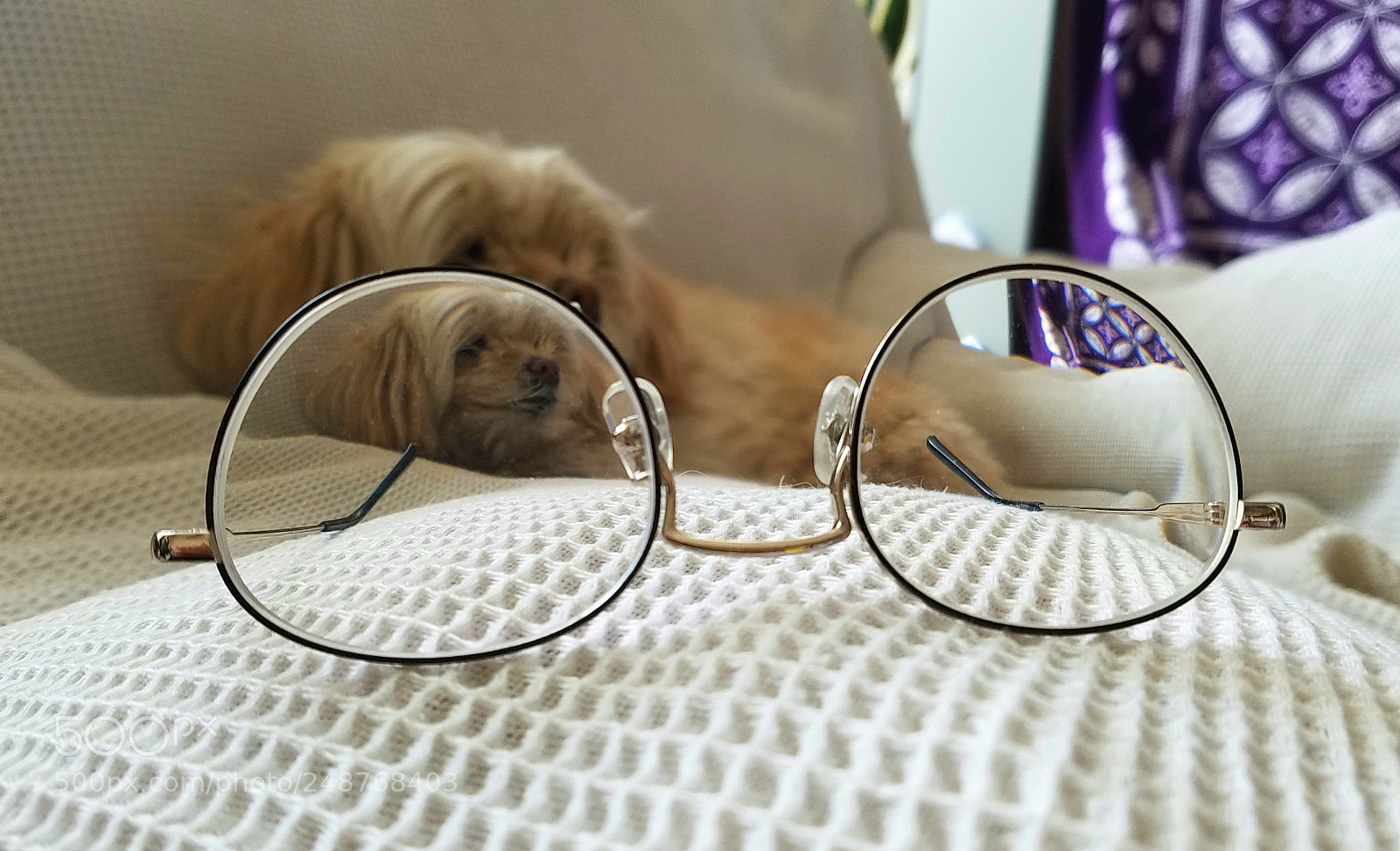 Samsung Galaxy S7 Edge sample photo. Glasses photography