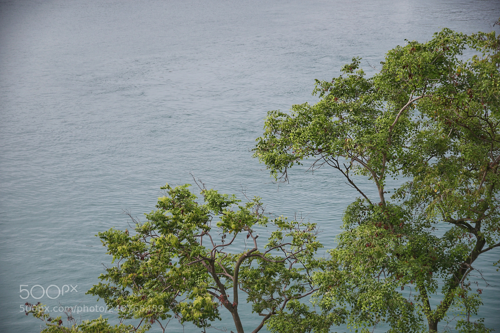 Canon EOS-1D X sample photo. Untitled photography