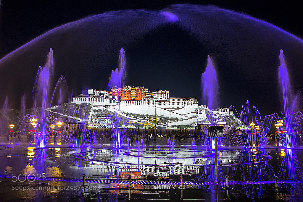 Nikon D610 sample photo. Potala palace photography