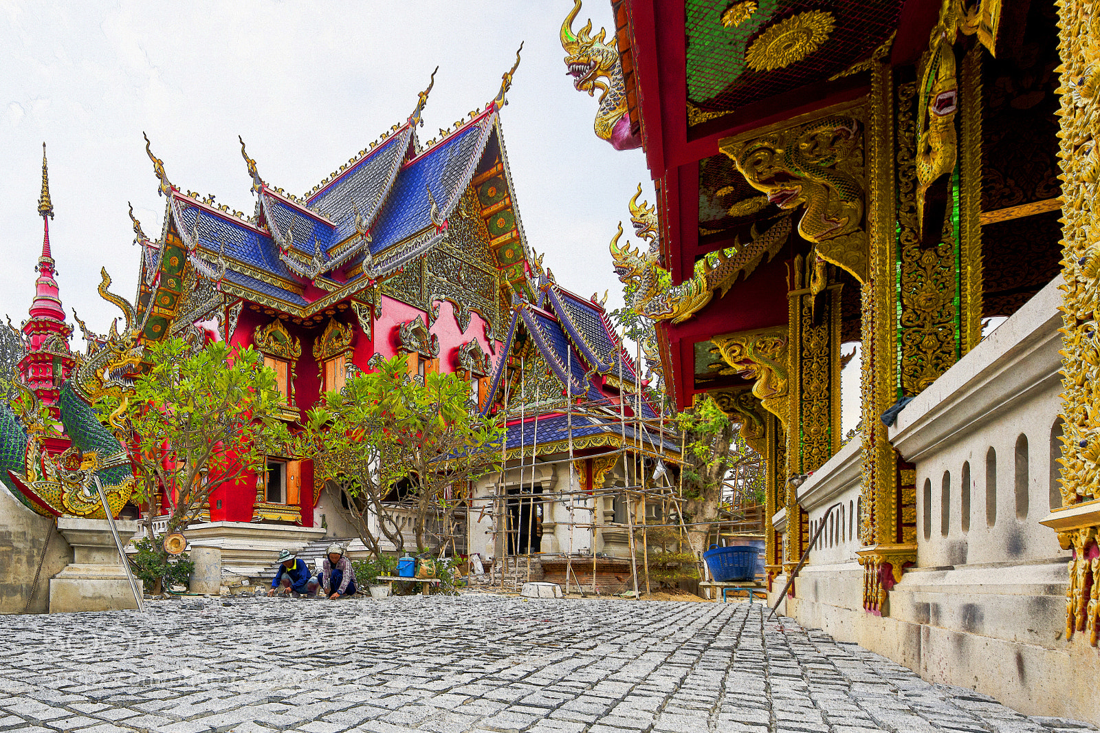 Nikon D850 sample photo. Wat photography