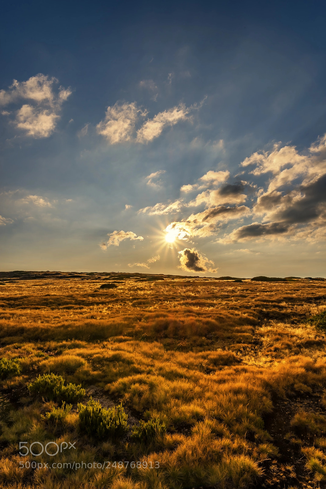 Nikon D610 sample photo. 31-08-2017 sunset photography