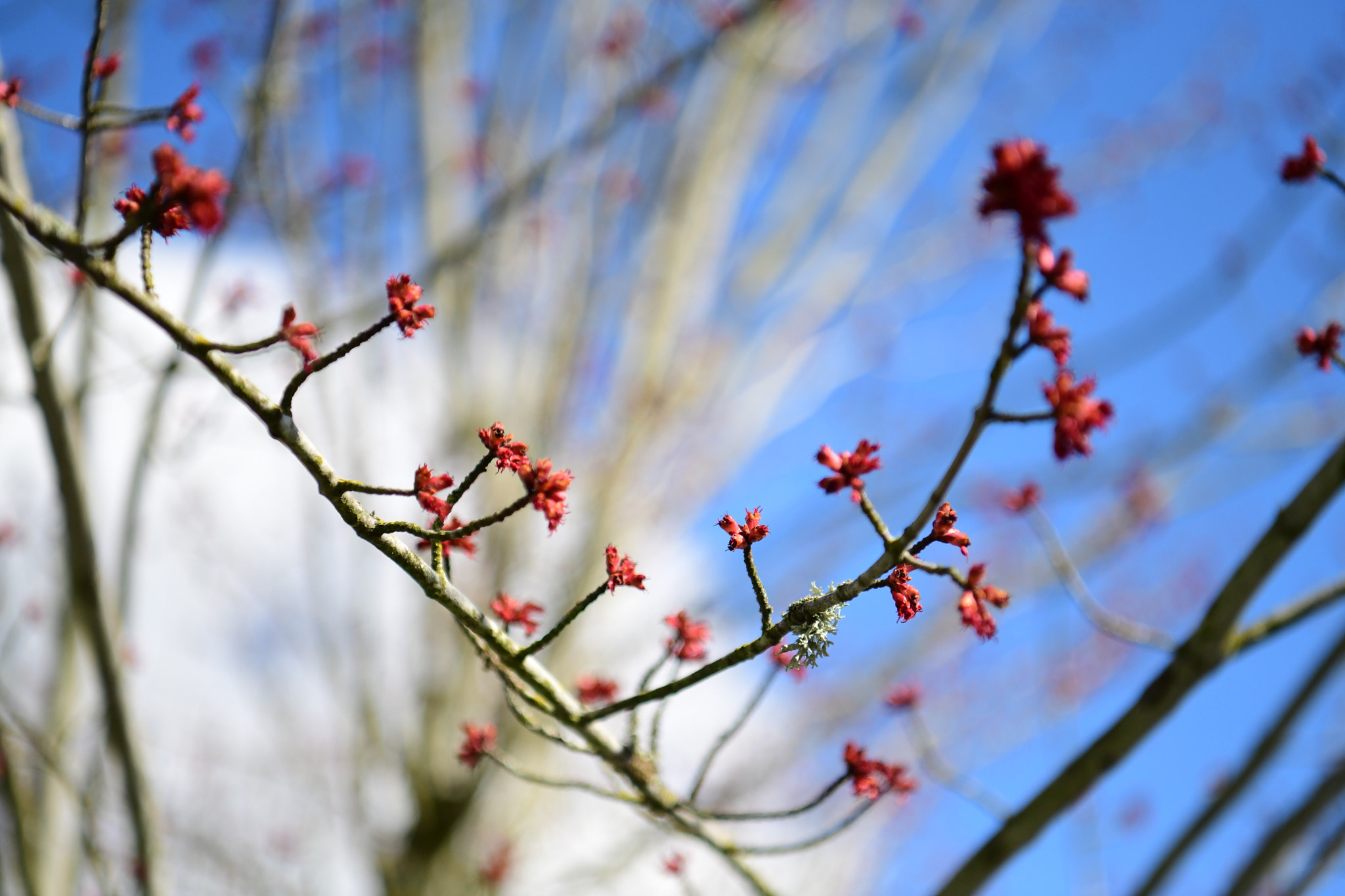 Nikon AF-S Nikkor 24-70mm F2.8E ED VR sample photo. Another afternoon photography