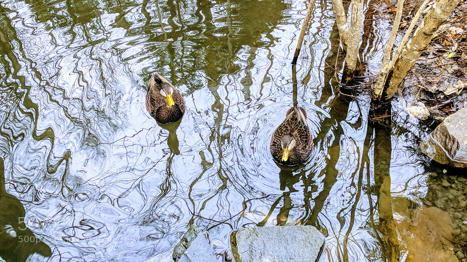 Google Nexus 6P sample photo. Img_20180210_125808.jpg photography
