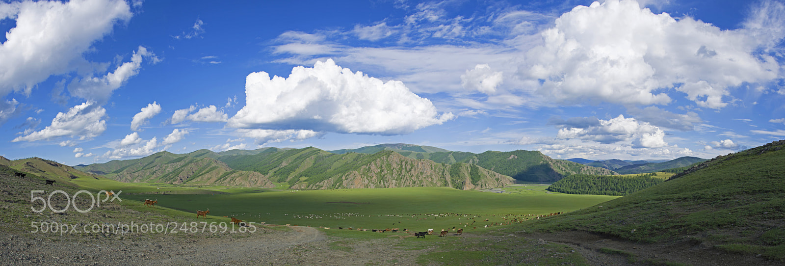 Nikon D7100 sample photo. Орхон голын эхлэл / beginning of orkhon river photography