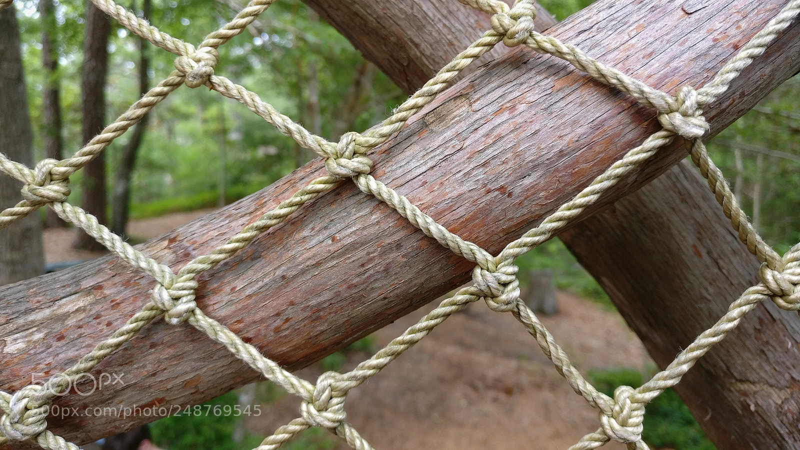 OnePlus A3000 sample photo. Ropes photography