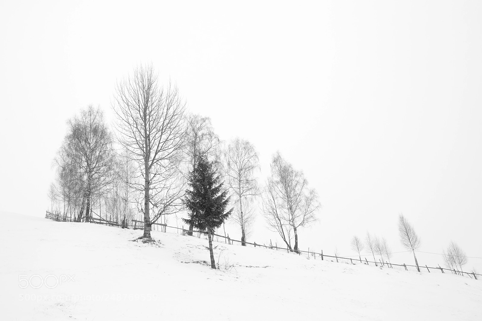 Canon EOS 6D sample photo. Winter minimalism photography