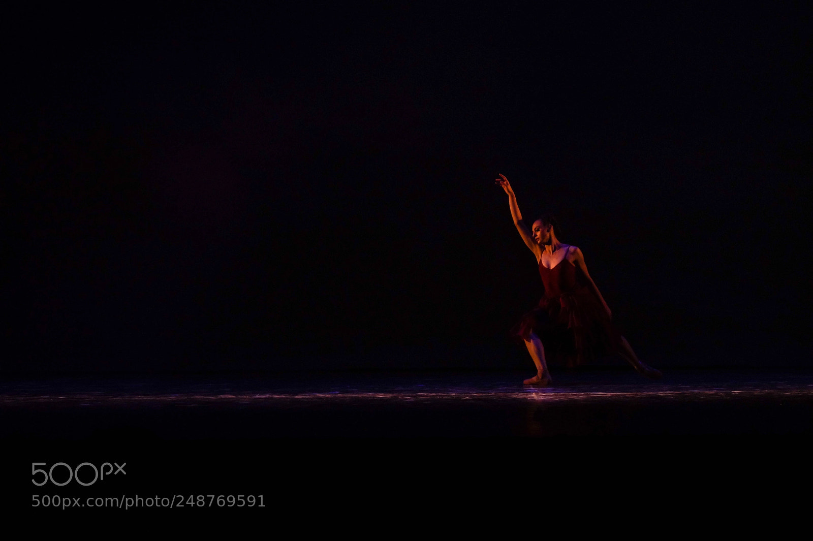 Sony SLT-A58 sample photo. Dance photography