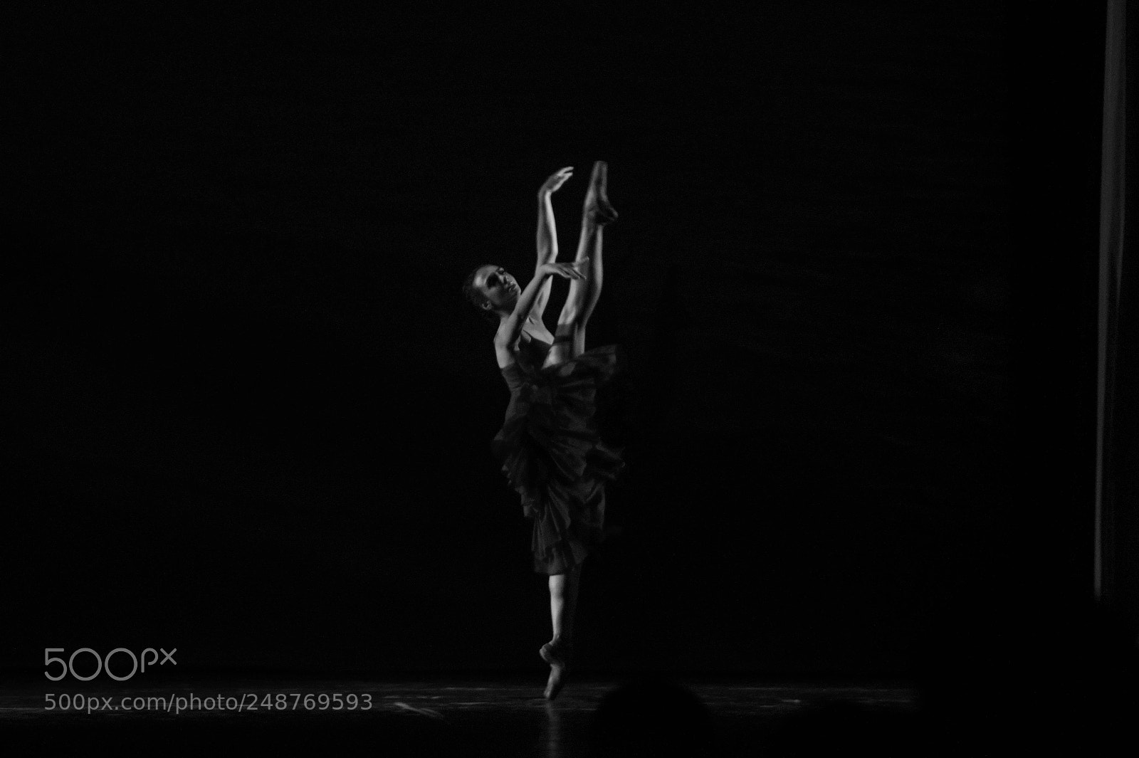 Sony SLT-A58 sample photo. Dance photography