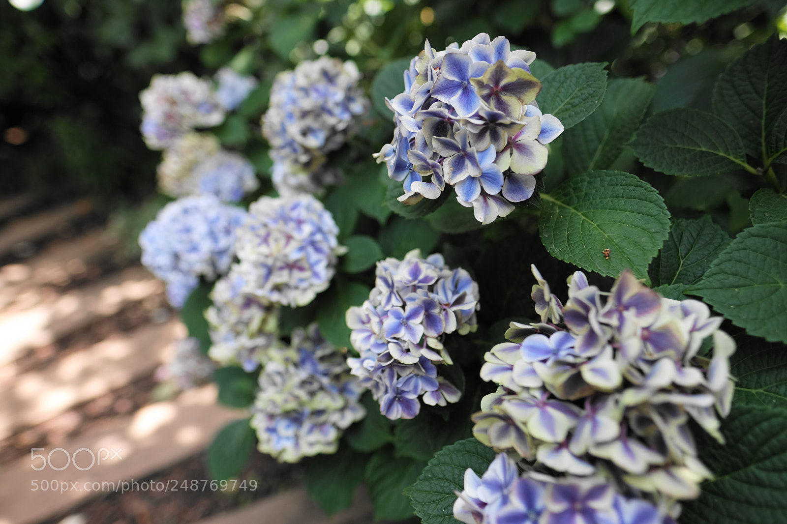 Fujifilm X-Pro2 sample photo. Untitled photography