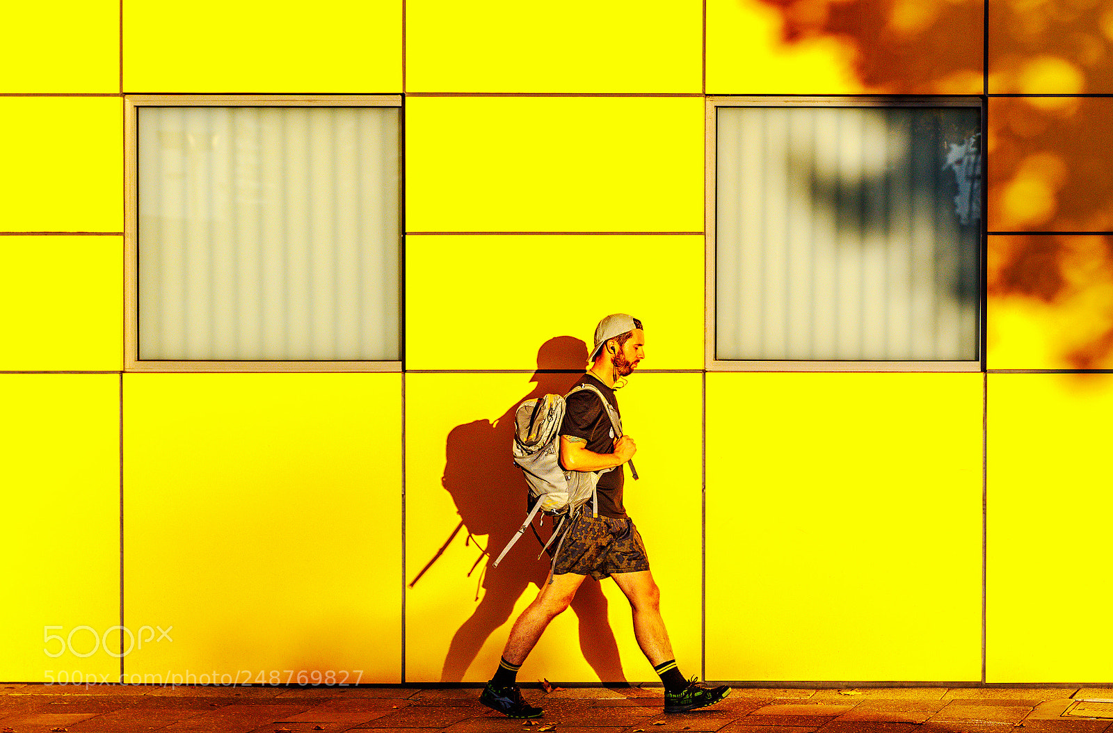 Canon EOS-1D X Mark II sample photo. Mondrian stroll photography
