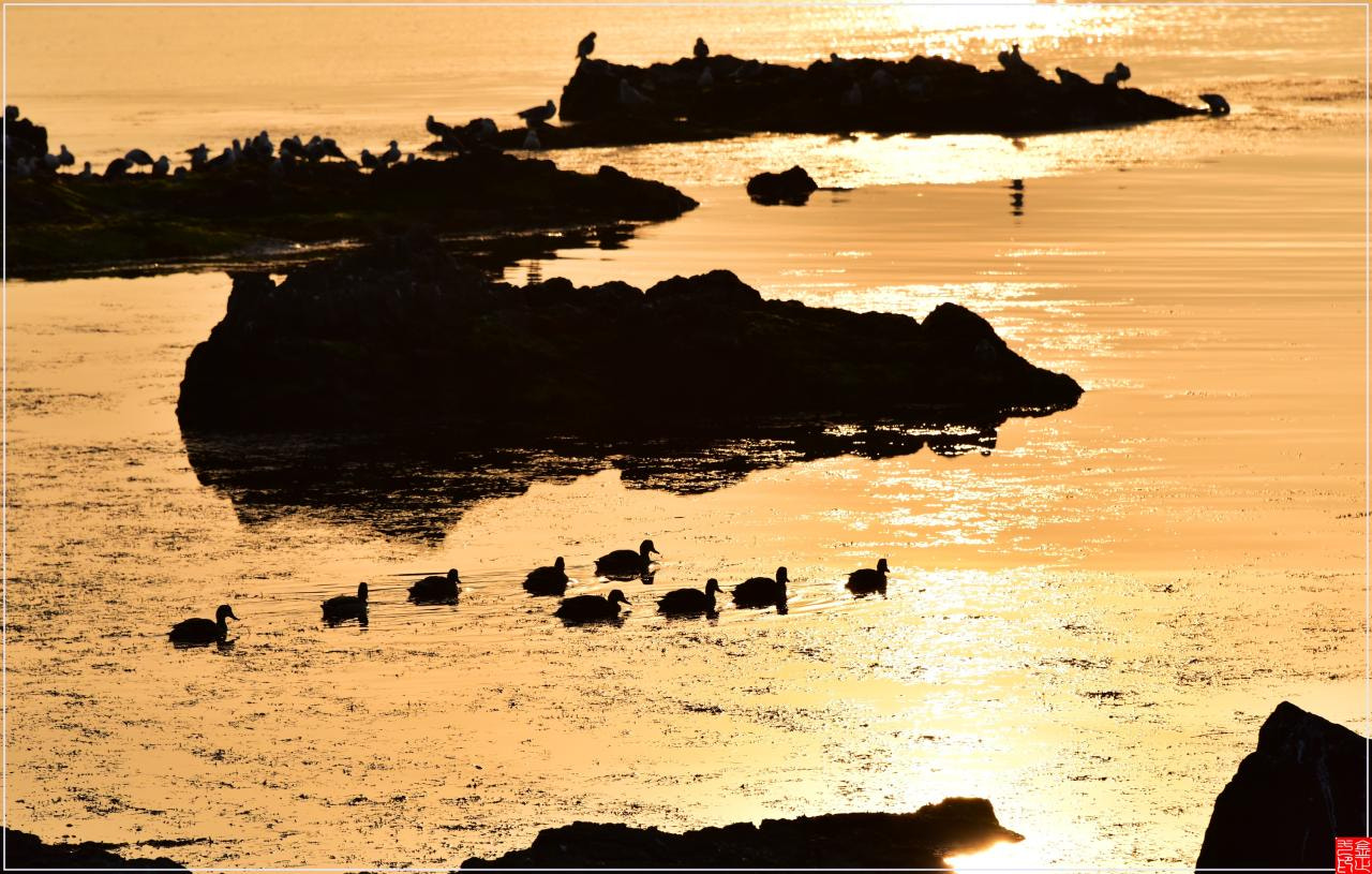 Nikon D810 sample photo. Morning sunlight photography