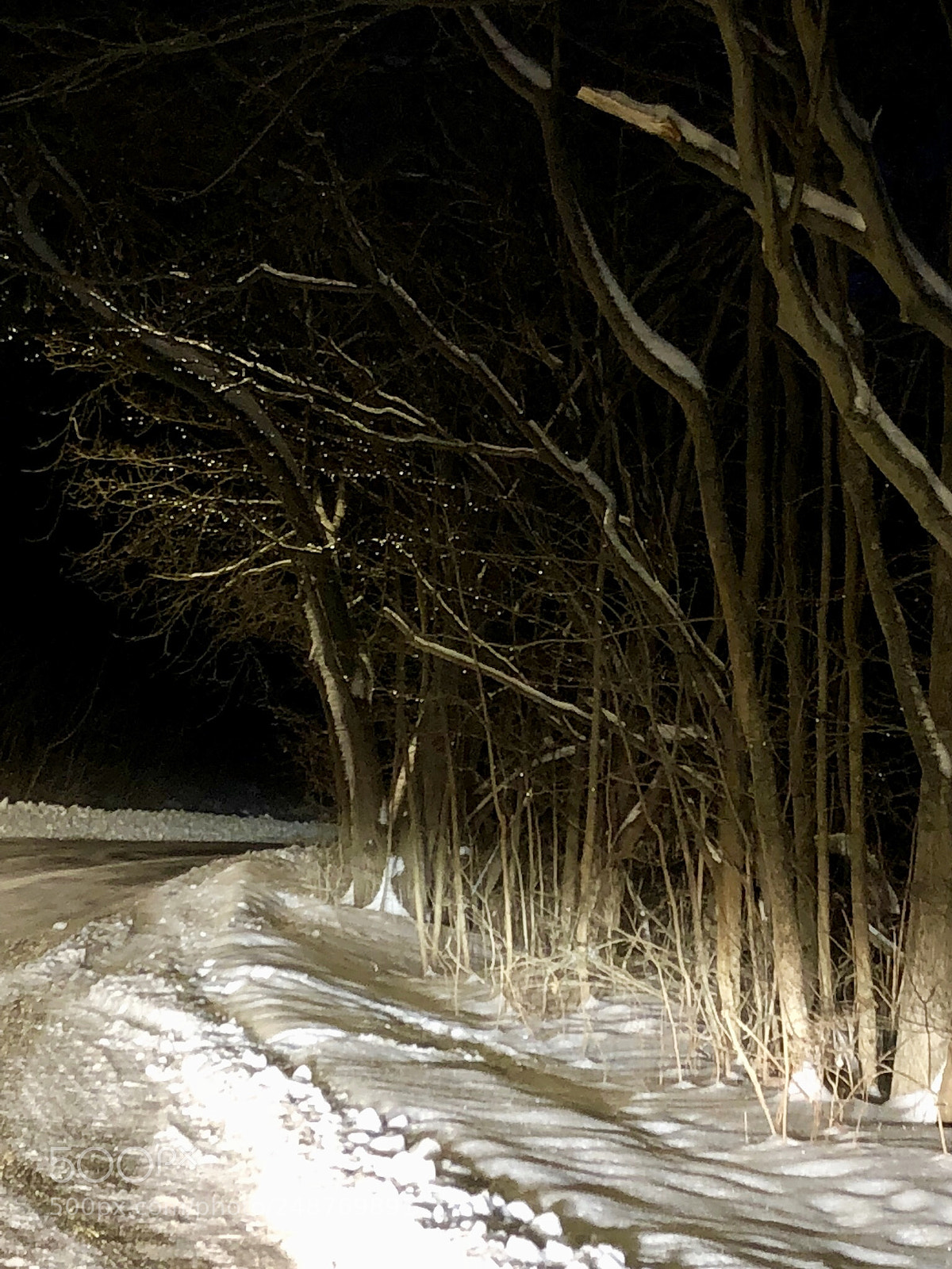 Apple iPhone 8 Plus sample photo. Mysteries of the night photography