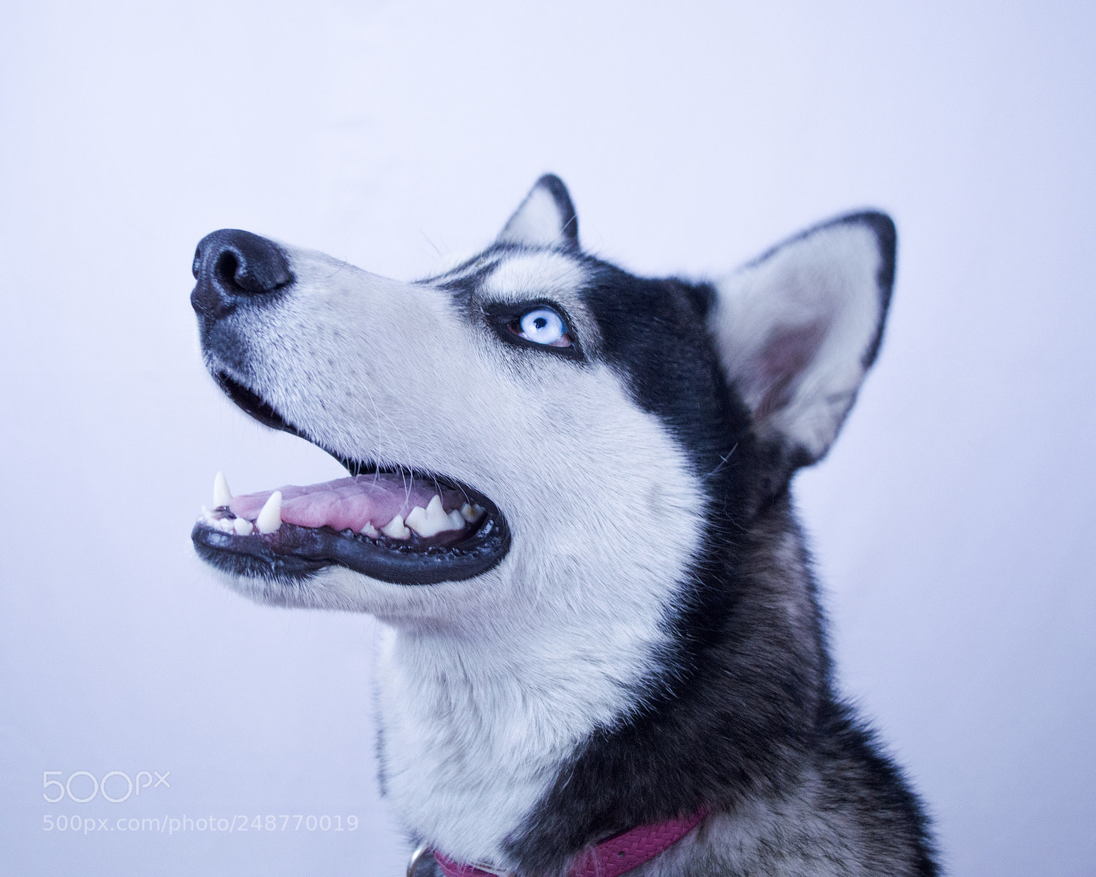 Nikon D3200 sample photo. Kyra photography