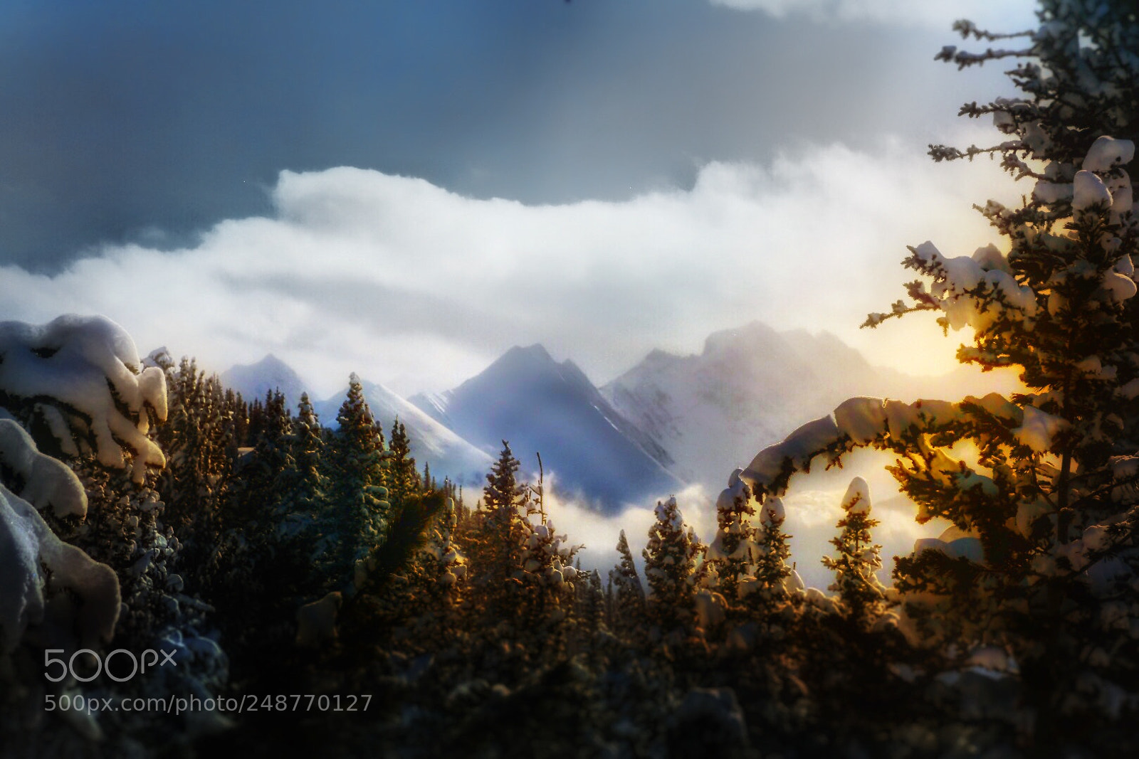 Nikon D7200 sample photo. Sulphur mountain, canadian rockies. photography