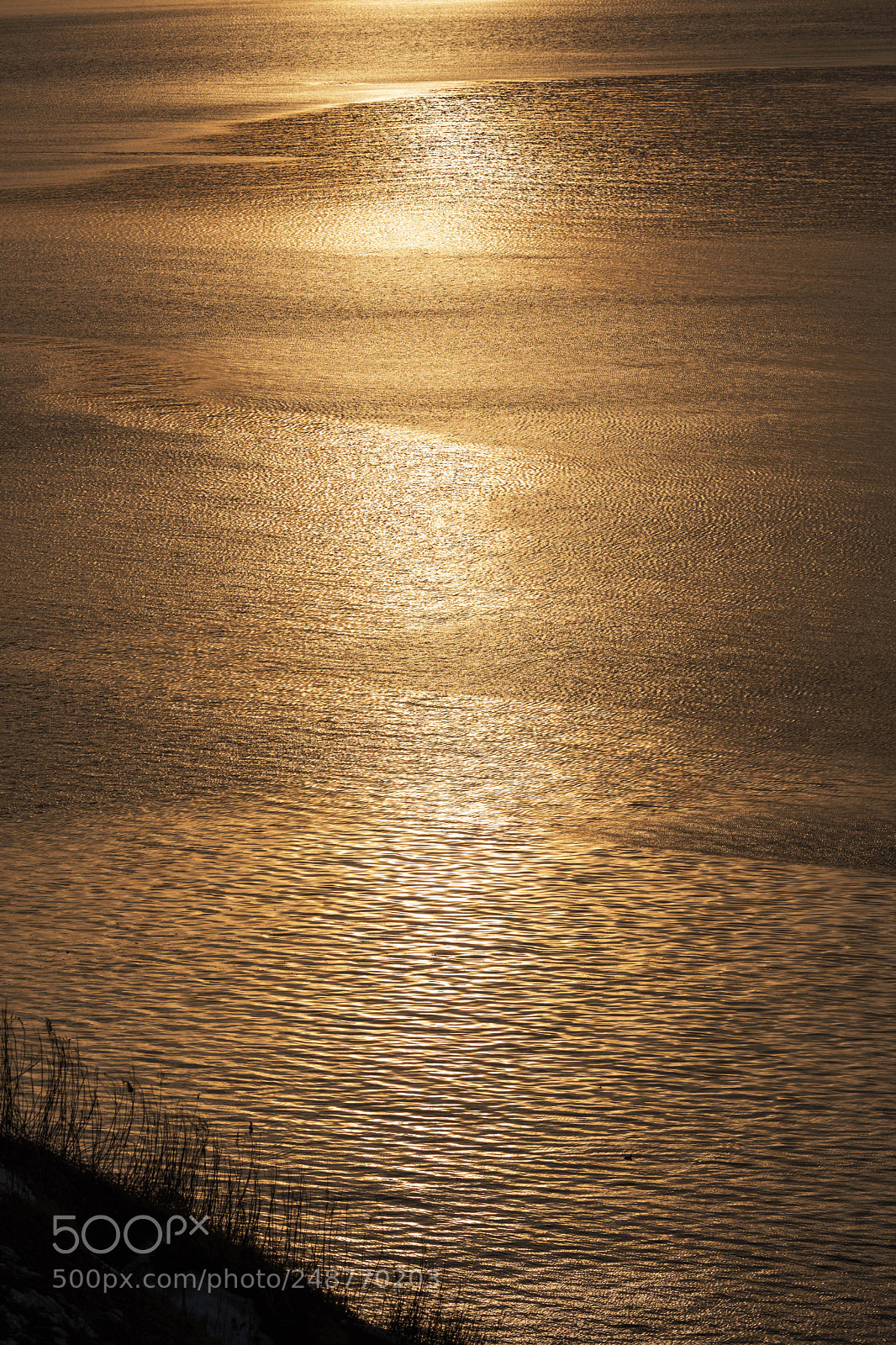 Nikon D500 sample photo. Untitled photography