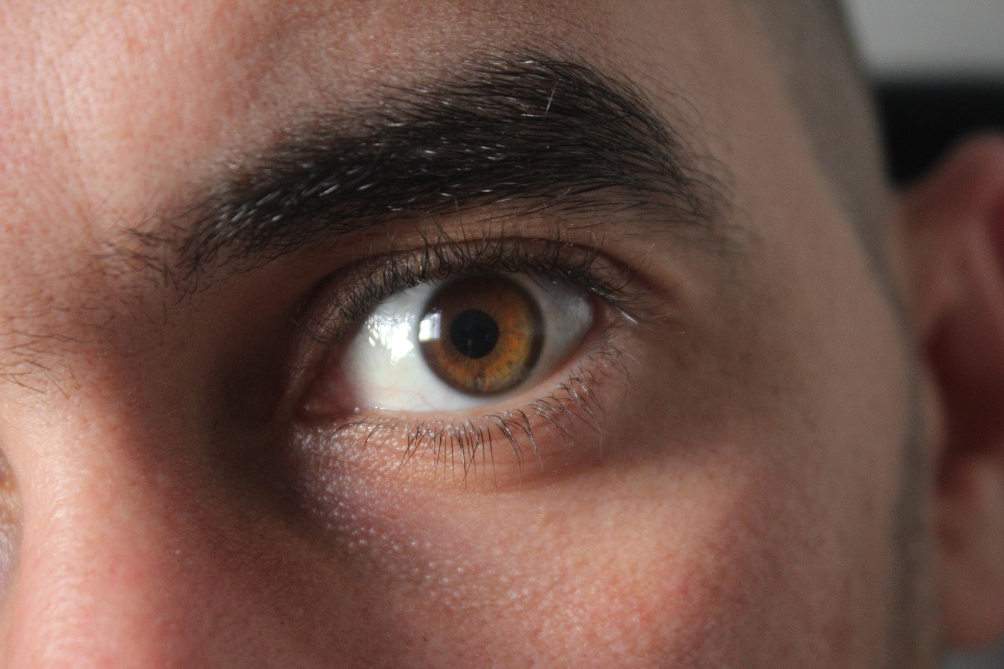 Canon EOS 600D (Rebel EOS T3i / EOS Kiss X5) sample photo. Eyesman photography
