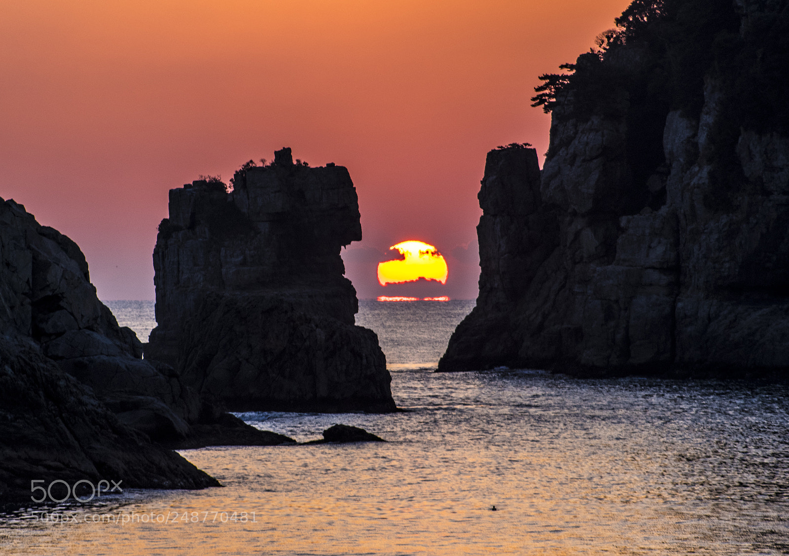 Pentax K-3 sample photo. Untitled photography
