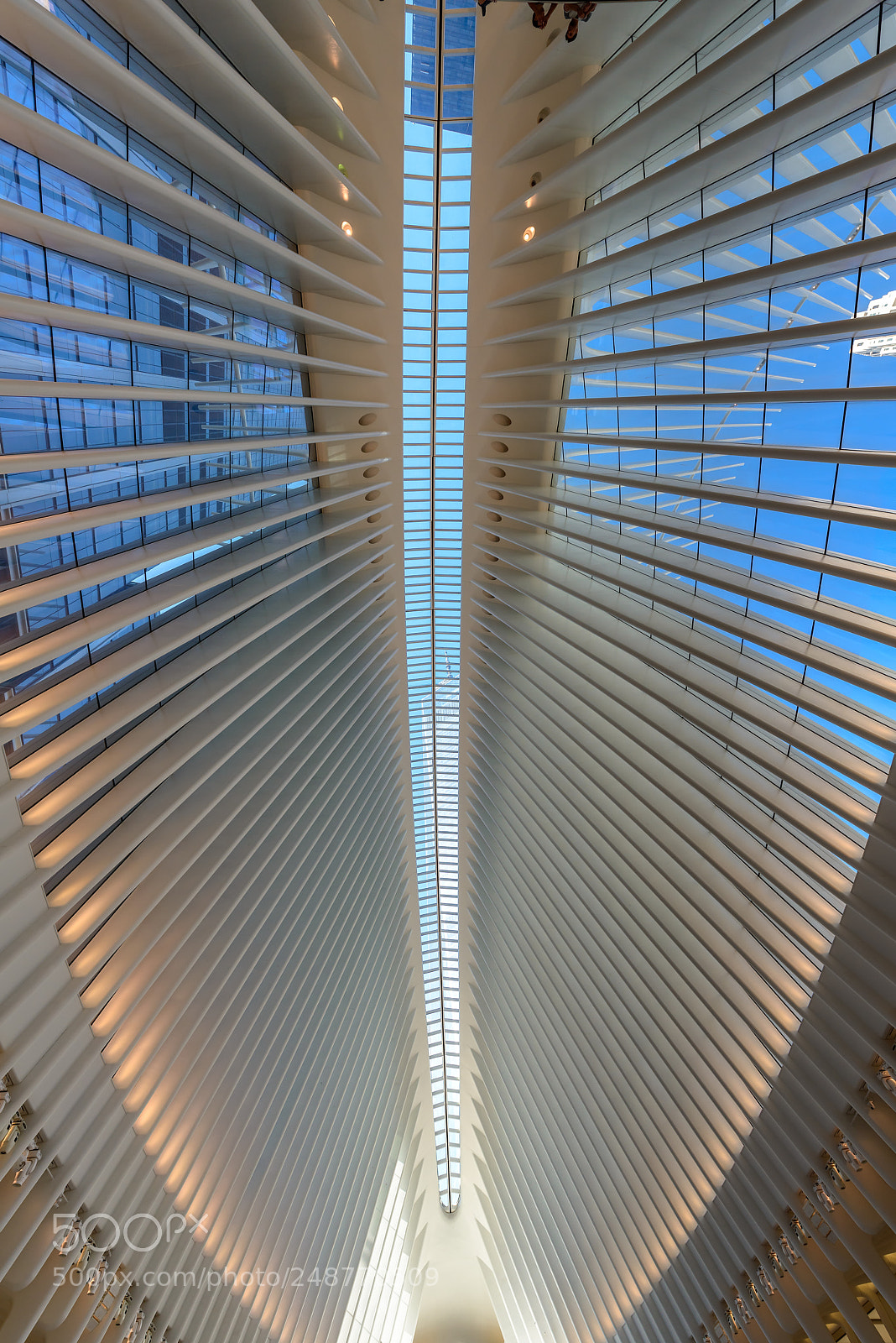 Nikon D800 sample photo. Inside of world trade photography