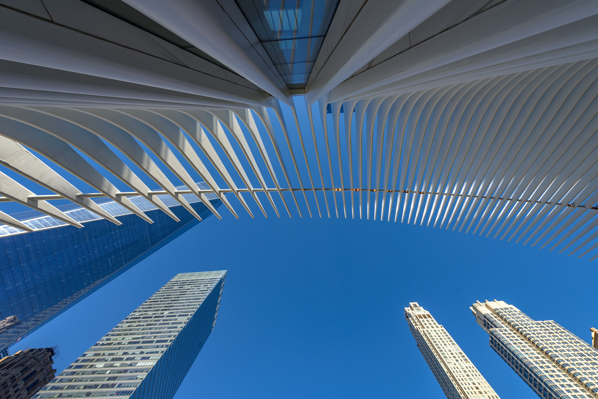 Lower Manhattan urban skyscrapers in New York City