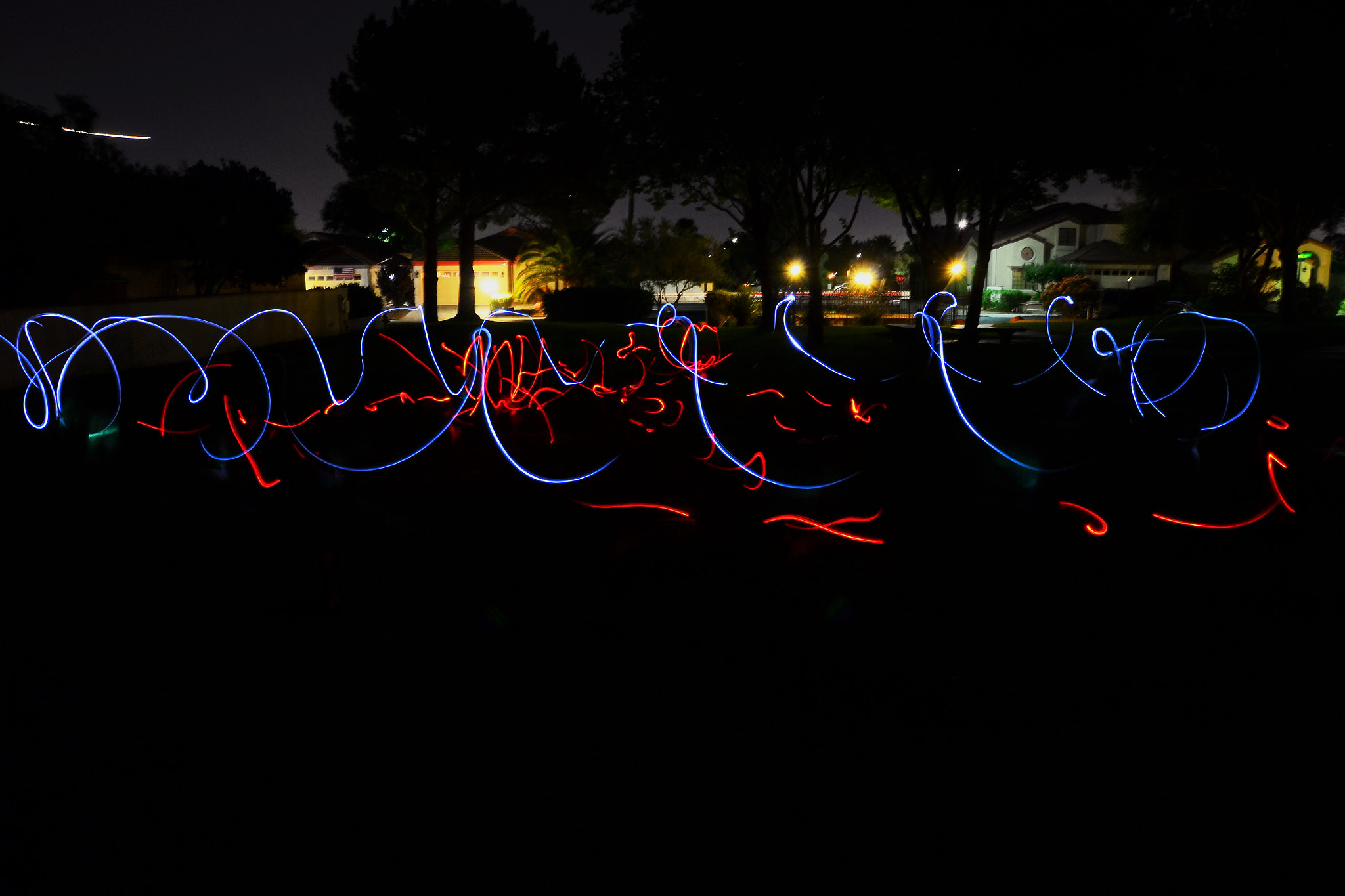 Nikon D3100 sample photo. Fairies in the grass photography