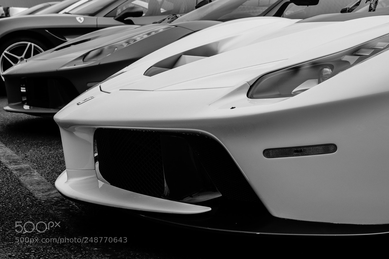 Canon EOS 80D sample photo. The line up. photography